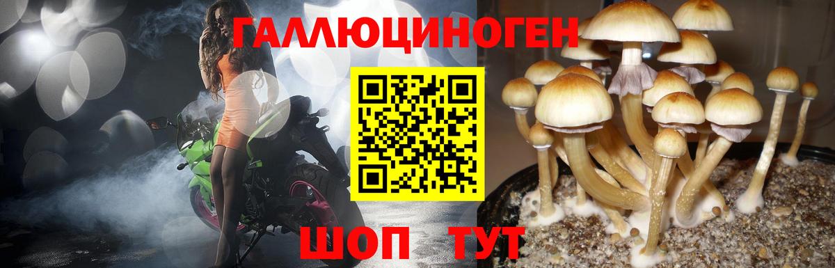 Галлюциногенные грибы MAGIC MUSHROOMS Кохма